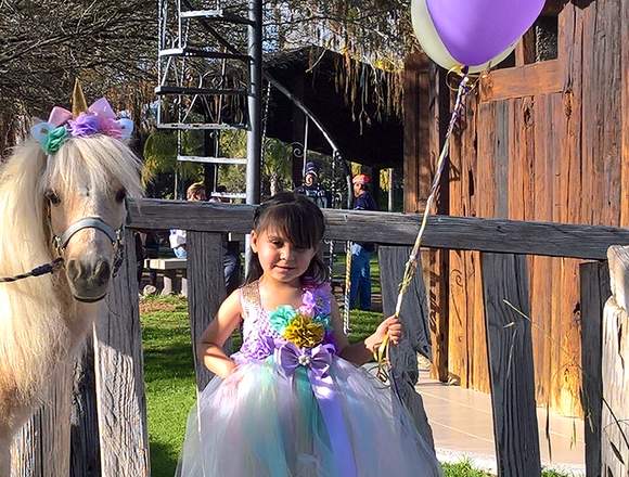 Renta Caballitos Pony en Aguascalientes