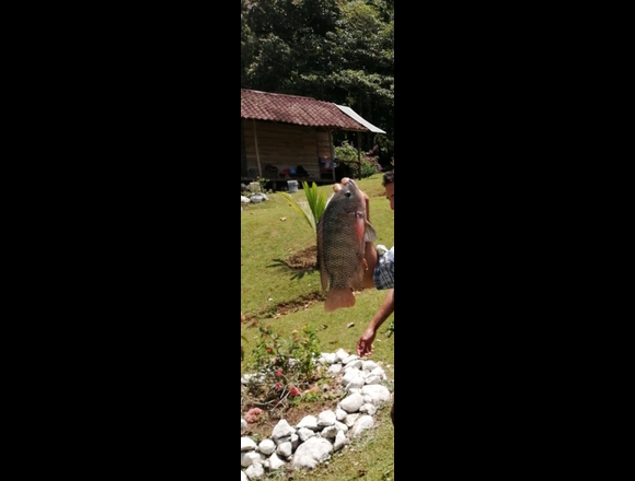 Se vende hermosa quinta