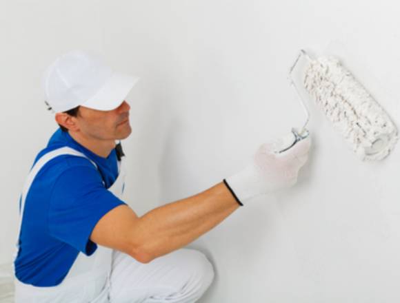 Pintor profesional + Servicios de Pintura.