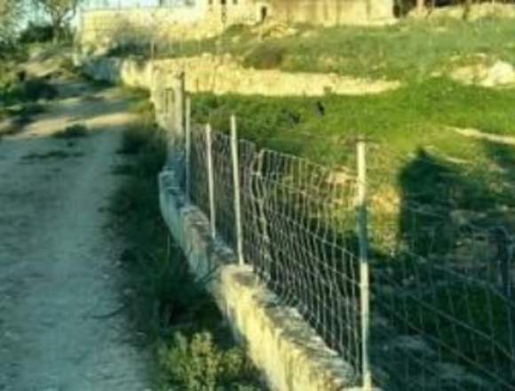 ALQUILO TERRENO PARA ANIMALES en Lloret de Vistalegre (Municipio)