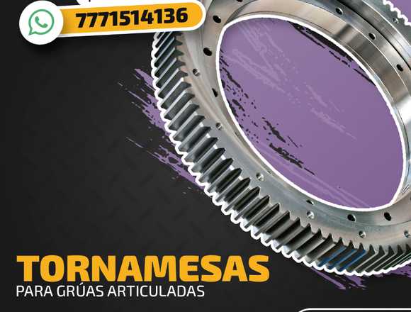 TORNAMESAS PARA GRUAS INDUSTRIALES en Álvaro Obregón (Municipio)