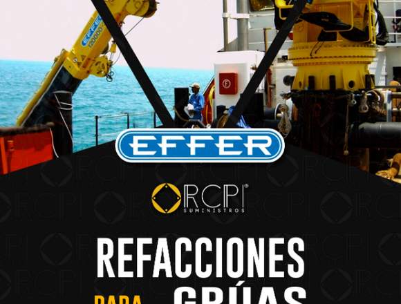 Repuestos para grúas marítimas Effer en Cajeme (Municipio)