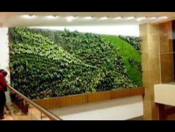 JARDINES VERTICALES Y MUROS VERDES –SANTANDER