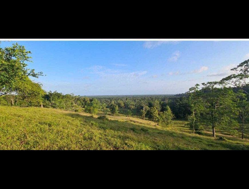 Venta de Lote en Pocosí, Limón / Mls 24-711 OFC JB