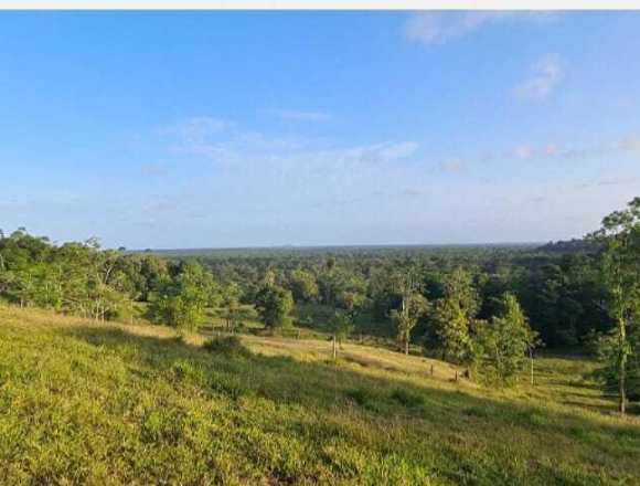 Venta de Lote en Pocosí, Limón / Mls 24-711 OFC JB en Pococí (Cantón)