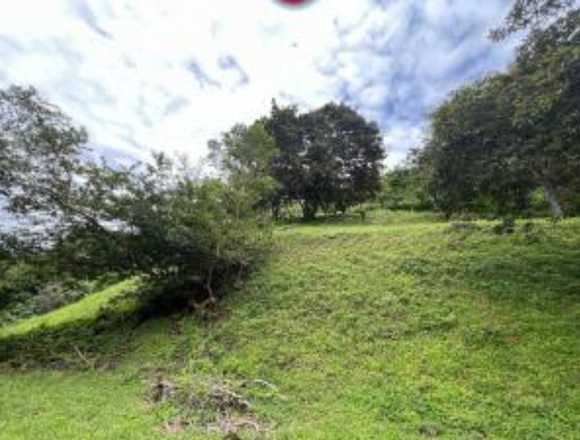 Venta de Terreno en Atenas / Mls. 25-590 OFC JB en Atenas (Cantón)