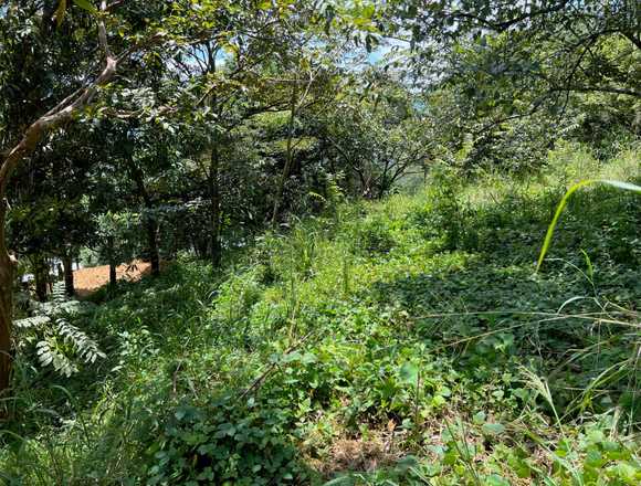 Lote con Clima de Montaña en Atenas en Atenas (Cantón)