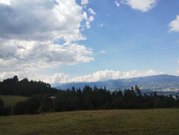 Venta de hermoso lote en Tibasosa Boyacá en Tibasosa (Municipio)
