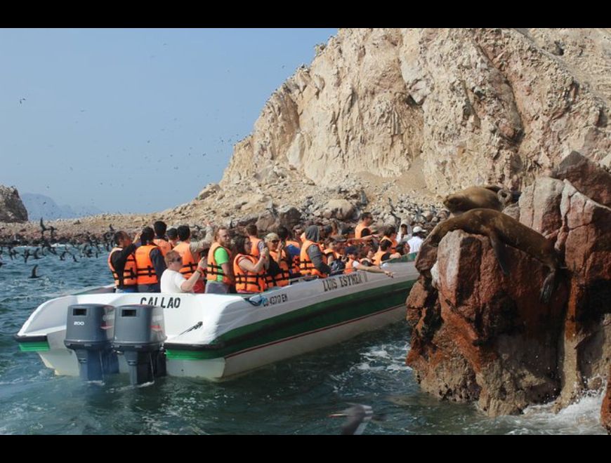 ISLAS BALLESTAS PARACAS DESLIZADOR MODERNO
