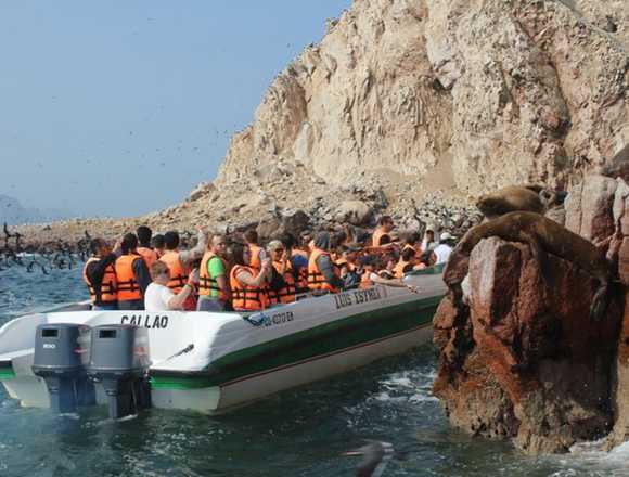 ISLAS BALLESTAS PARACAS DESLIZADOR MODERNO en Paracas (Distrito)
