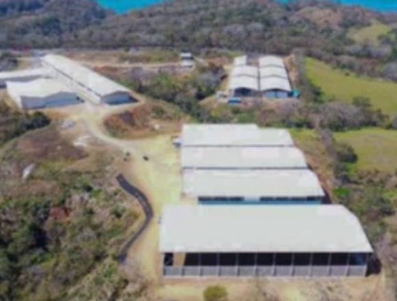 Bodegas de Refrigeración en Caldera- Puntarenas en Puntarenas (Cantón)