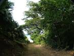 Finca en venta en Jicaral – Playa Naranjo