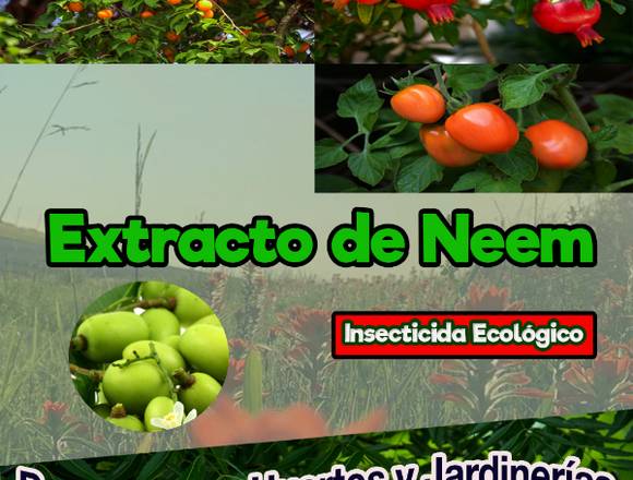 Extracto de Semillas de Neem en Santo Domingo Este (Municipio)