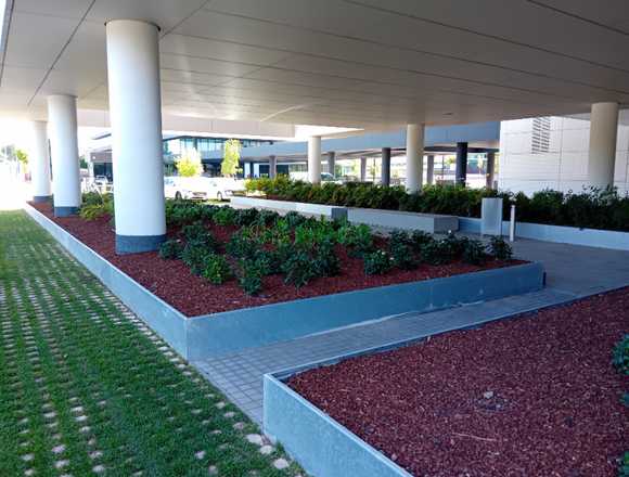 Mntos jardines limpiezas podas en Madrid (Municipio)