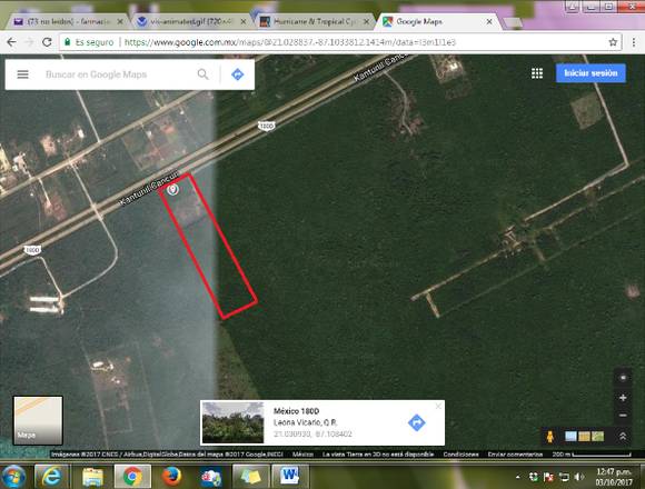 VENTA TERRENO 5 HECTÁREAS AUTOPISTA MÉRIDA-CANCÚN en Puerto Morelos (Municipio)
