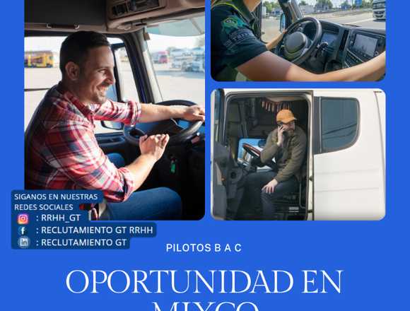 motorista xela servicio al cliente limpieza en Palencia (Municipio)