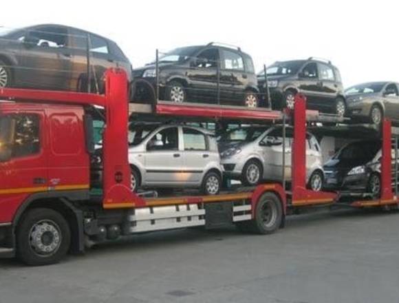 TRANSPORTE AUTOS EN CIGUEÑA en Lima (Lima 1) (Distrito)