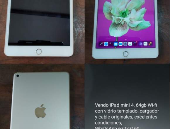 iPad Mini 4 de 64gb WiFi en Santa Cruz (Localidad)