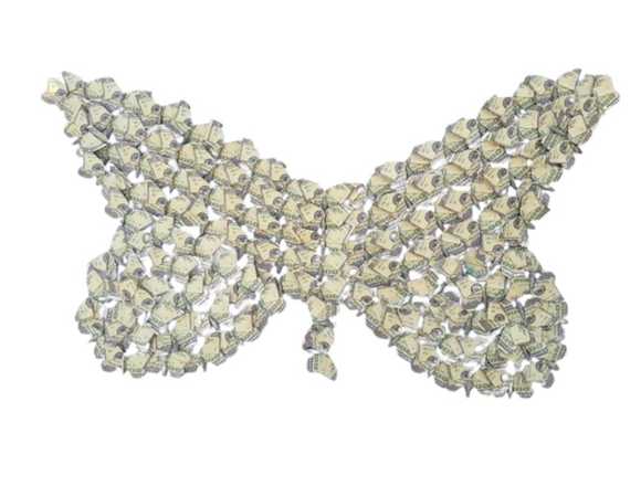 Cuadro mariposa billete didáctico decoración 3D