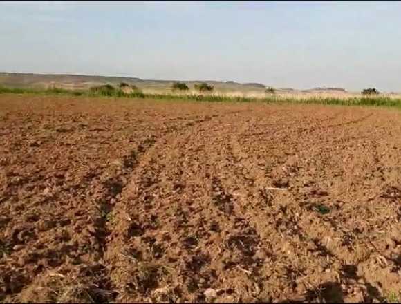 Vendo finca en La Rioja, con agua en Valencia (Municipio)