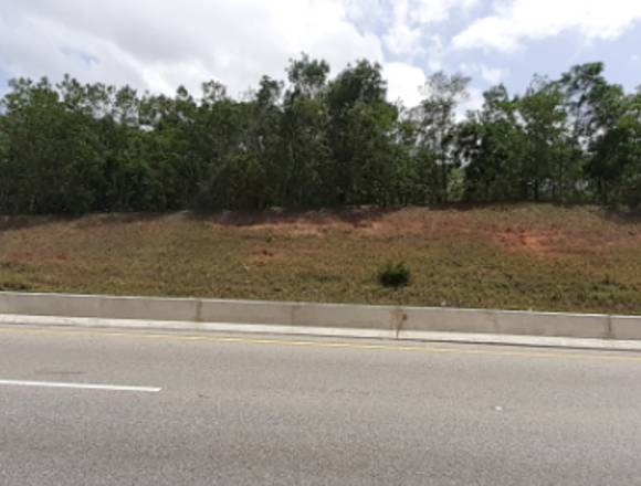 Venta Terreno 200,000 m2 Av. Circunvalacion en Piedra Blanca (Municipio)