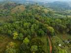 VENTA FINCA, PIEDRA BLANCA, BONAO en Piedra Blanca (Municipio)