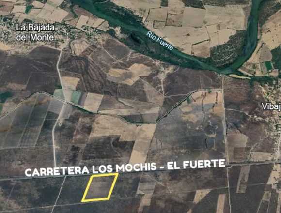 VENTA DE HECTAREAS ORILLA DE CARRETERA FTE -LM en El Fuerte (Municipio)