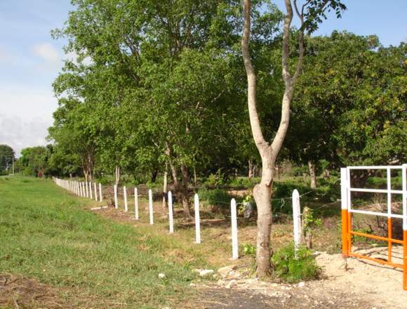 Finca Aguachica Cesar Ruta del Sol, Exce ubicación en Zipaquirá (Municipio)