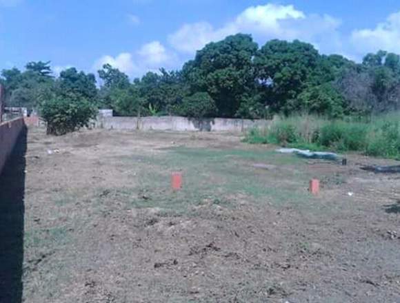 FINCA LA PONDEROSA EN EL PAO en Tinaco (Municipio)
