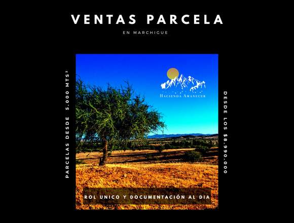 Venta de parcelas Hacienda Inmobiliaria en Marchigüe (Comuna)