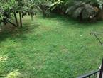 Apartamentos en venta