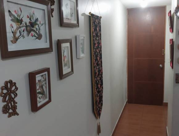 REMATO DEPARTAMENTO