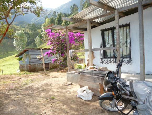 VENTA: FINCA "EL SILENCIO" - CORDOBA QUINDIO en Córdoba (Municipio)