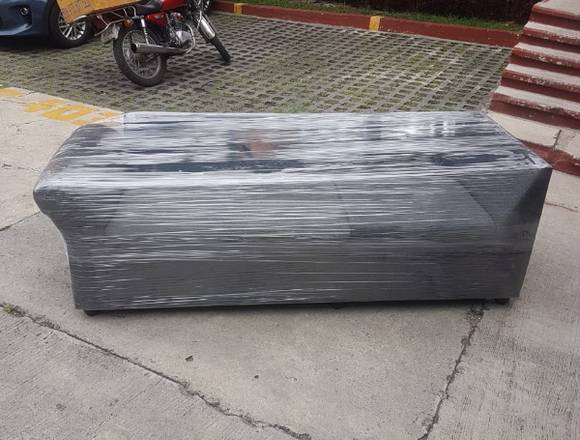MUDANZAS Y PAQUETERIA en Saltillo (Municipio)