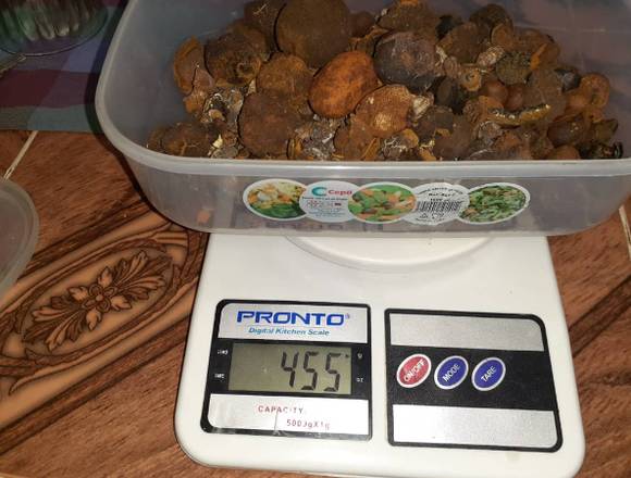 COMPRO CALCULOS BILIARES DE GANADO EN PANAMÁ en Panamá (Distrito)