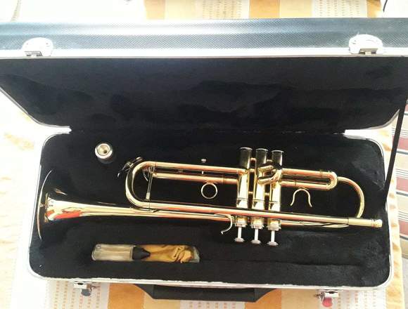 Vendo trmpeta maxone Urgente en Alto Bío Bío (Comuna)
