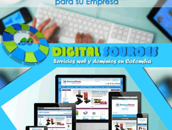 DISEÑO DE SITIOS WEB EN BARRANCABERMEJA en Puerto Santander (Municipio)