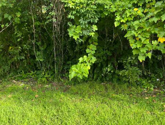 Se vende Lote en Pez Vela, Tárcoles, Garabito. en Alajuela (Cantón)