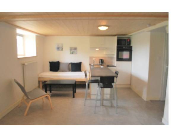 ALQUILER APARTAMENTO AMUEBLADO