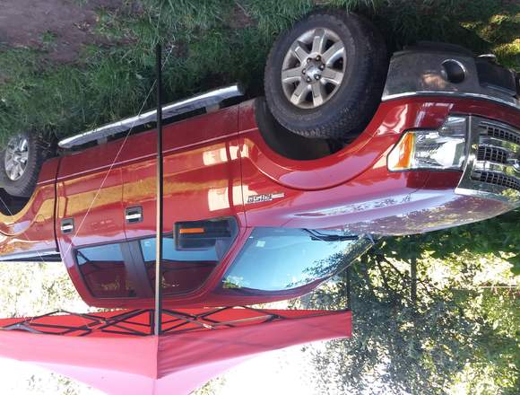 Vendo Camioneta Ford F-150 en Alto Bío Bío (Comuna)