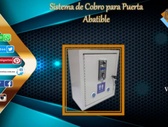 Sistema de Cobro para Baños en Guanajuato (Municipio)