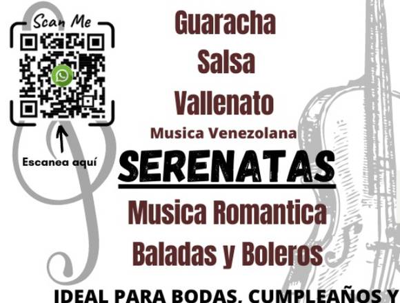 Servicio de Música de Violin en Vivo en Guacara (Municipio)