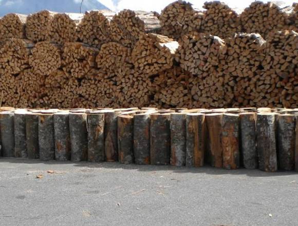 Trockenes Brennholz vorhanden in Berlin (Lokalität)