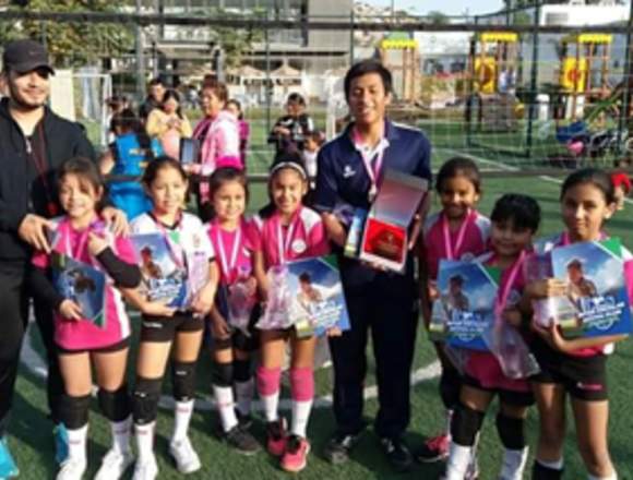 Academia de Voleibol en Lima (Lima 1) (Distrito)
