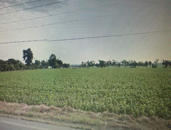 Renta de finca vía quevedo en Ventanas (Cantón)