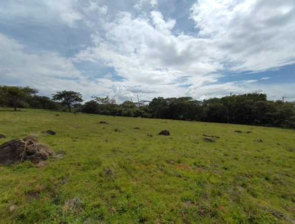Se vende lote plano de 57,548m2 Garita Alajuela