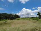 Se vende lote con uso de suelo mixto Heredia en San Pablo (Cantón)