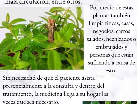 Medicina Natural con plantas