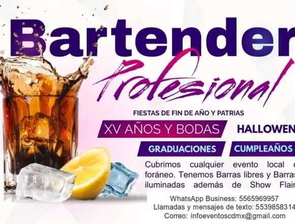 Bartender, Show flair y Barras libres. en Miguel Hidalgo (Municipio)
