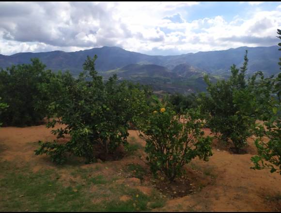 parcela giron vereda acapulco